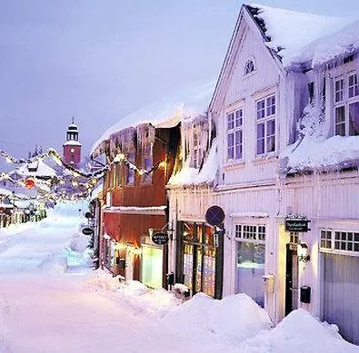 Western Gyldenlove 4* Kongsberg